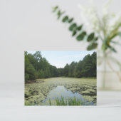 池はがき ポストカード (スタンド正面)