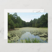 池はがき ポストカード (正面/裏面)
