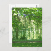 池を持つシダレヤナギ ポストカード (正面/裏面)