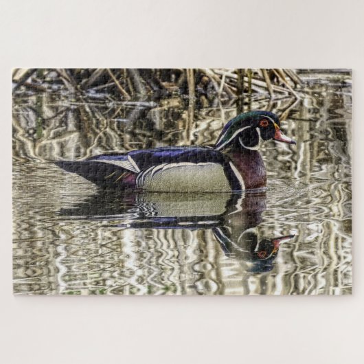 池を泳ぐアヒルの雄 ジグソーパズル (横)