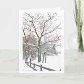 池を*Walden: 実際のところアポイントメント: 休日 シーズンカード (正面)