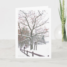 池を*Walden: 実際のところアポイントメント: 休日 シーズンカード