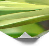 池シリーズの一日 ポスター (角)