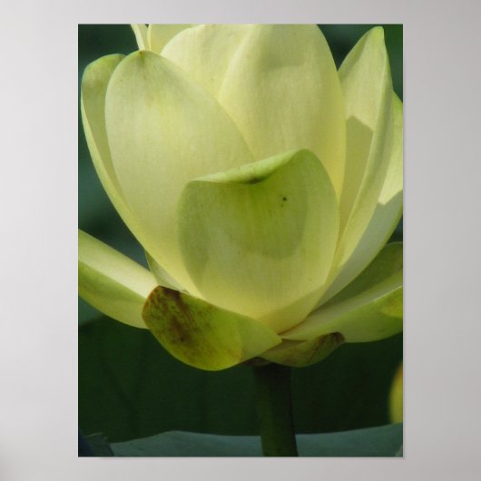 池シリーズの1日 ポスター (正面)