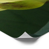 池シリーズの1日 ポスター (角)