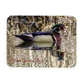 池ジグソーに泳ぐ雄のアヒルパズル マグネット (横)