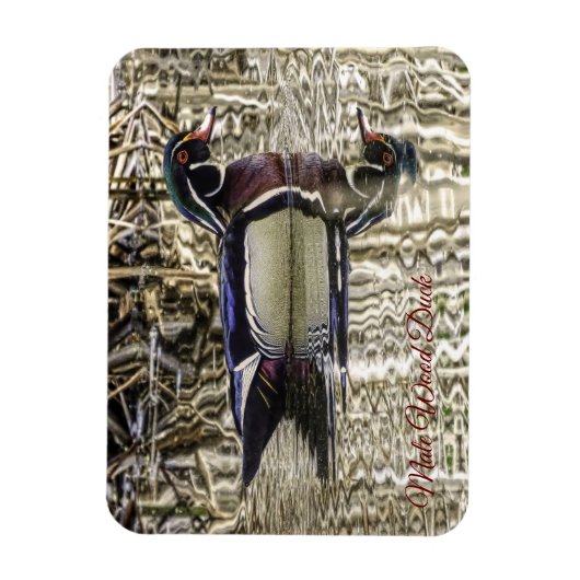 池ジグソーに泳ぐ雄のアヒルパズル マグネット (縦)