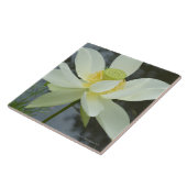 池フロリダの端のはすの花 タイル (側面)