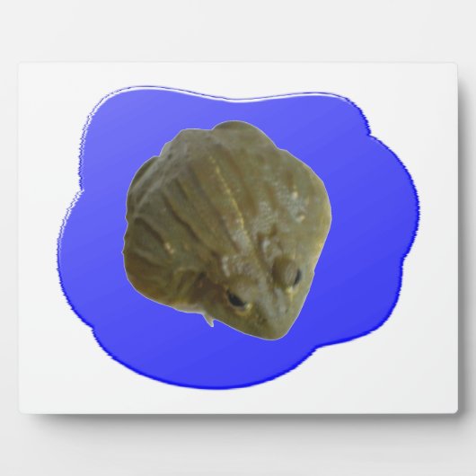 池プラークの水牛 フォトプラーク (正面)