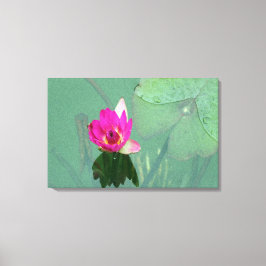 池独身ののピンクの《植物》スイレン キャンバスプリント