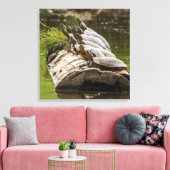 池色彩の鮮やかに浮かぶ亀 キャンバスプリント (インサイチュ (リビング))