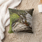 池色彩の鮮やかに浮かぶ亀 クッション (ブランケット)