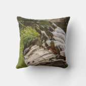 池色彩の鮮やかに浮かぶ亀 クッション (裏面)