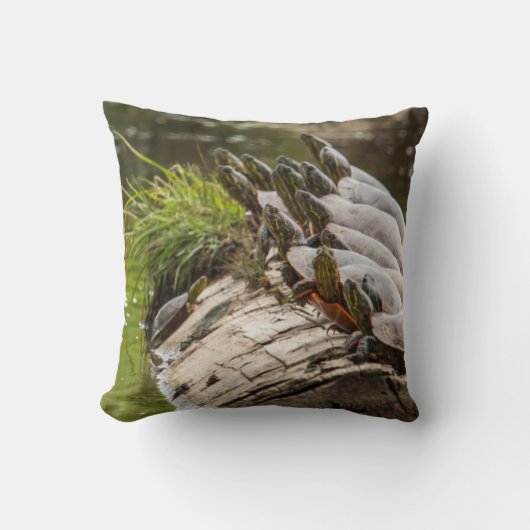 池色彩の鮮やかに浮かぶ亀 クッション (正面)