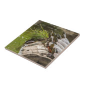 池色彩の鮮やかに浮かぶ亀 タイル (側面)