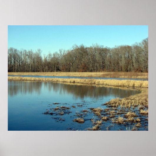 池 ポスター (正面)