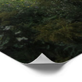 池 ポスター (角)