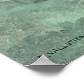 池 ポスター (角)