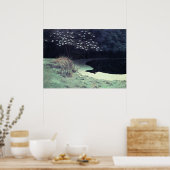 池 ポスター (キッチン)