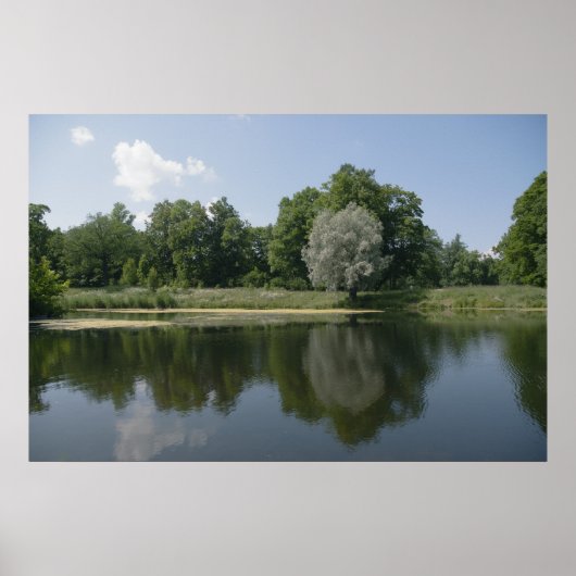 池 ポスター (正面)