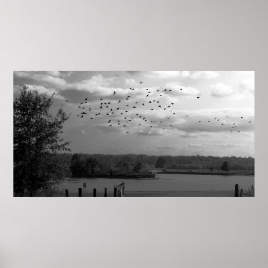 池 ポスター (正面)