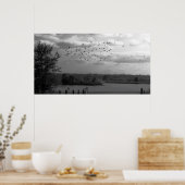 池 ポスター (キッチン)