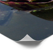 池 ポスター (角)