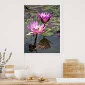 池 ポスター (キッチン)