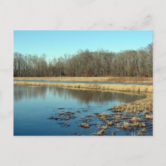 池 ポストカード (正面)