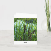 池、悔やみや弔慰のネコヤナギ カード (裏面)