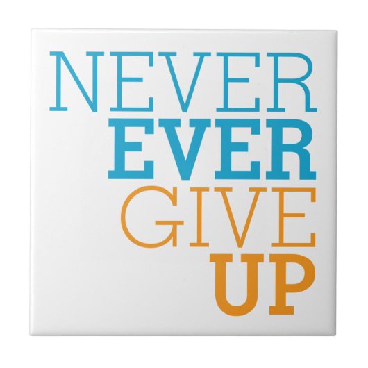 決してあきらめないで下さい タイル (正面)