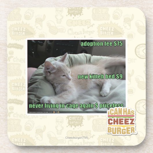 決しておりに再度住んでいます コースター (正面)