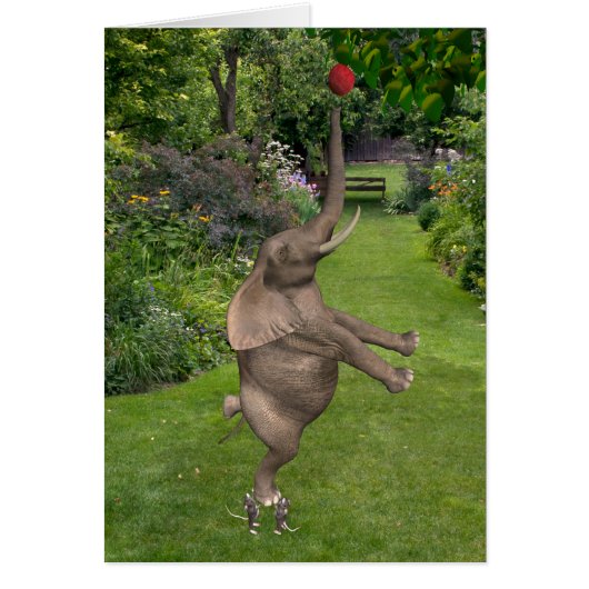 決してアップしない – 一緒に私たちは強い (正面)