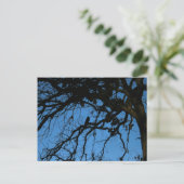 決して再び ポストカード (スタンド正面)