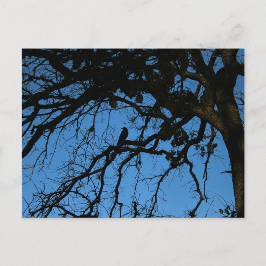 決して再び ポストカード (正面)