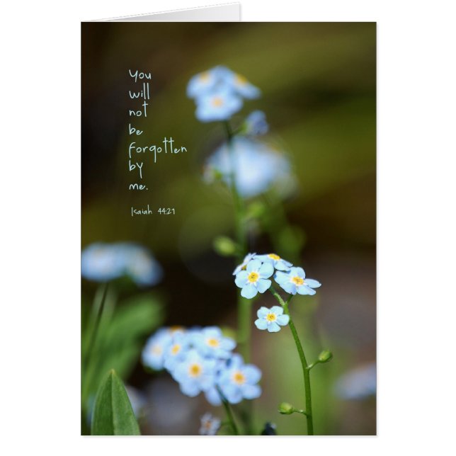 決して忘れられる (正面)