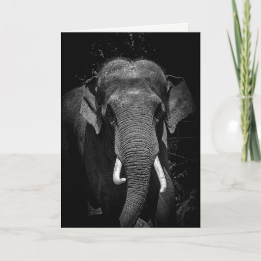 決して忘れ誕生日しない カード (正面)