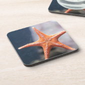 決して頼星の魚の方向へ コースター (左側)