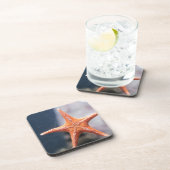 決して頼星の魚の方向へ コースター (右側)