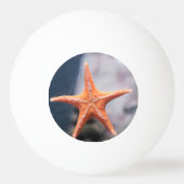 決して頼星の魚の方向へ 卓球ボール (裏面)