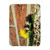 決定されたタンポポ磁石 マグネット (縦)