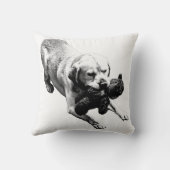 決定された一時停止 クッション (裏面)