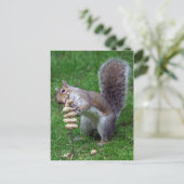 決定リス ポストカード (スタンド正面)