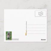 決定リス ポストカード (裏面)