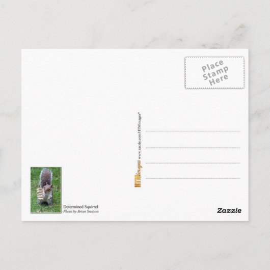 決定リス ポストカード (裏面)