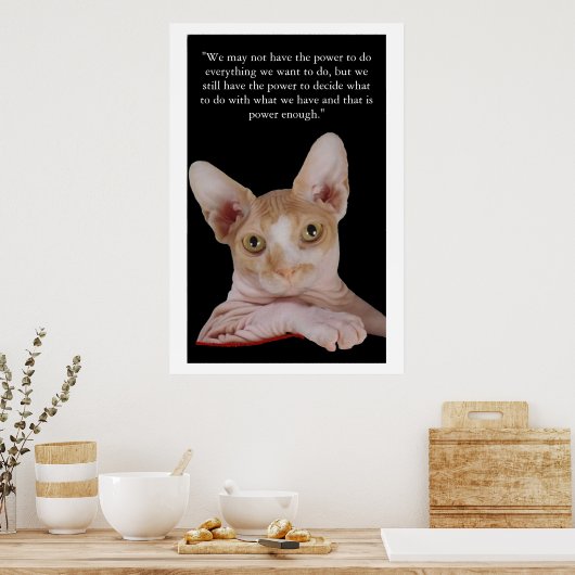 「決定権」 ポスター (キッチン)