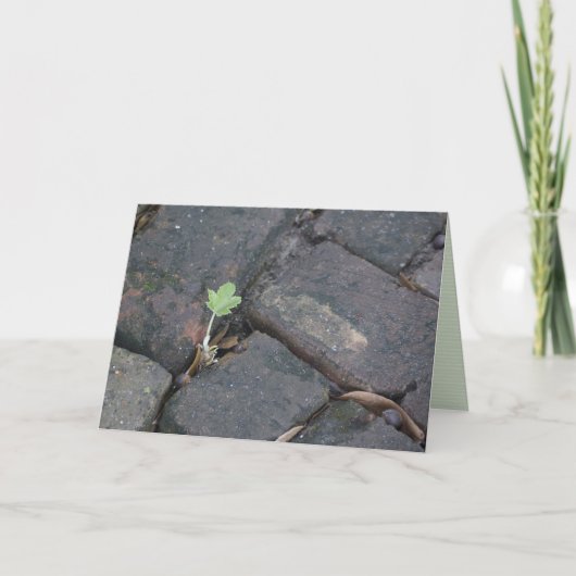 "決定"の挨拶状 カード (正面)