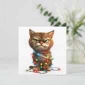 決意した不機嫌なクリスマス猫 シーズンカード (スタンド正面)