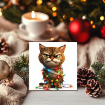 決意した不機嫌なクリスマス猫
