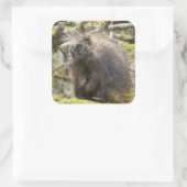 決意した山嵐 スクエアシール (バッグ)